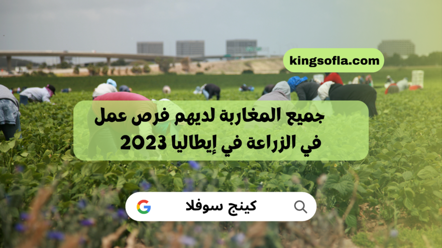 جميع المغاربة لديهم فرص عمل في الزراعة في إيطاليا 2023